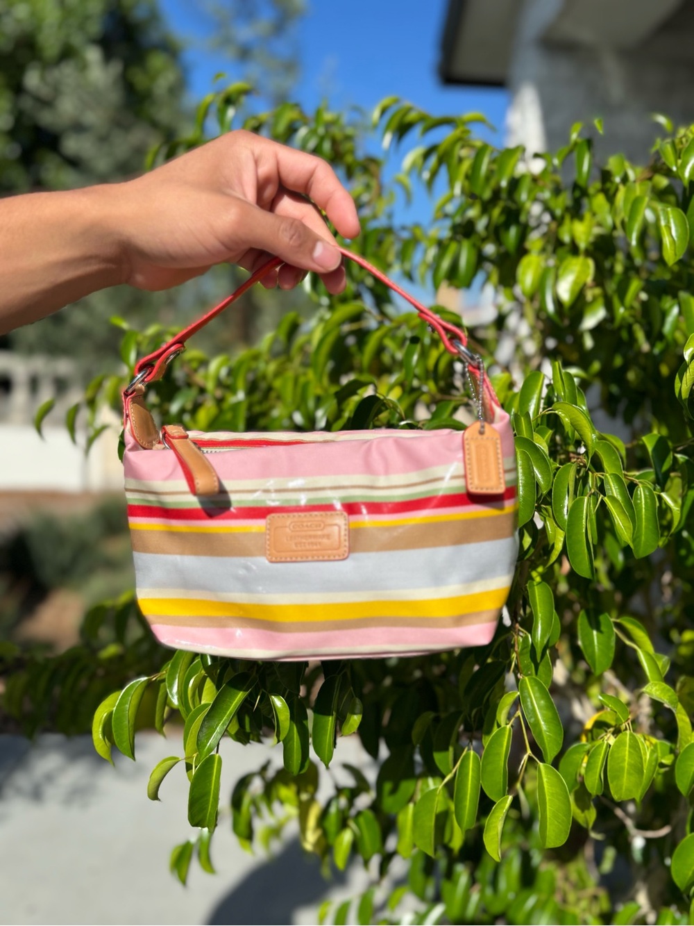 Mini Coach Bag